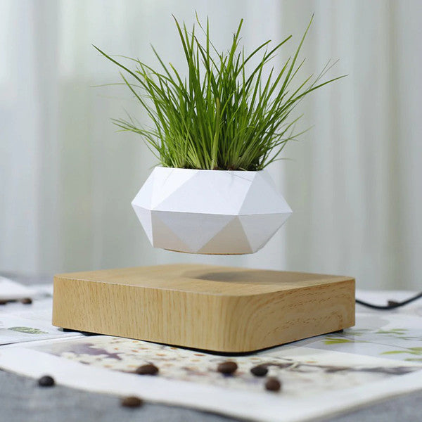 Floating Levitating Magnetic Plant Pot